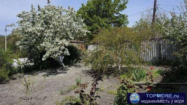 Продаю дом в прекрасном тихом месте Голубой бухты.   Участок 6 соток ,ровный,правильной формы,на участке плодоносящий...