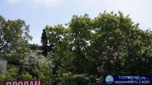 Продаю дом в прекрасном тихом месте Голубой бухты.   Участок 6 соток ,ровный,правильной формы,на участке плодоносящий... - 1