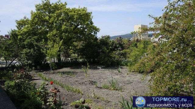 Продаю дом в прекрасном тихом месте Голубой бухты.   Участок 6 соток ,ровный,правильной формы,на участке плодоносящий... - 2