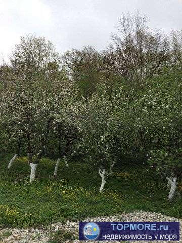 Я собственник !!! Продаю участок с домом ИЖС в пос. Адербиевка , по ул.Советской , 22 сотки, на участке 2 дома .... - 2