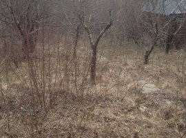 ??СРОЧНО ПРОДАМ ДАЧУ??Возрождение , бытовик