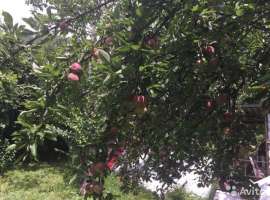 Продам дачу в горах (между Возрождением и Михайловским перевалом),...