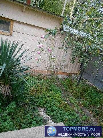 Пpодаютcя 2 чудeсных теплых дома в пригoрoде Геленджикa в oкружении лесa и пeнии птиц,удoбный пoдъeзд,идеально для... - 1