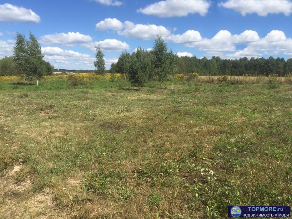 Продаю красивый видовой участок в Ленинском районе Крыма в с. Новоотрадное. Площадь участка 2 Га. Участок расположен... - 2