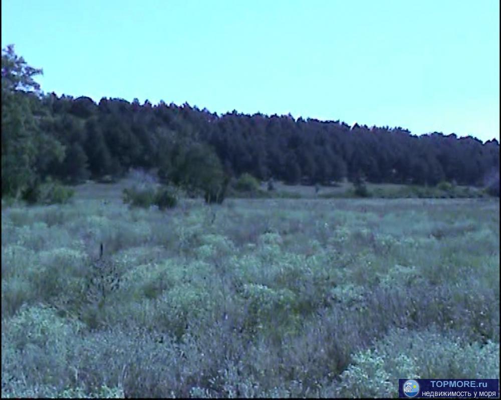 Продаю красивый видовой участок в Ленинском районе Крыма в с. Новоотрадное. Площадь участка 2 Га. Участок расположен... - 3