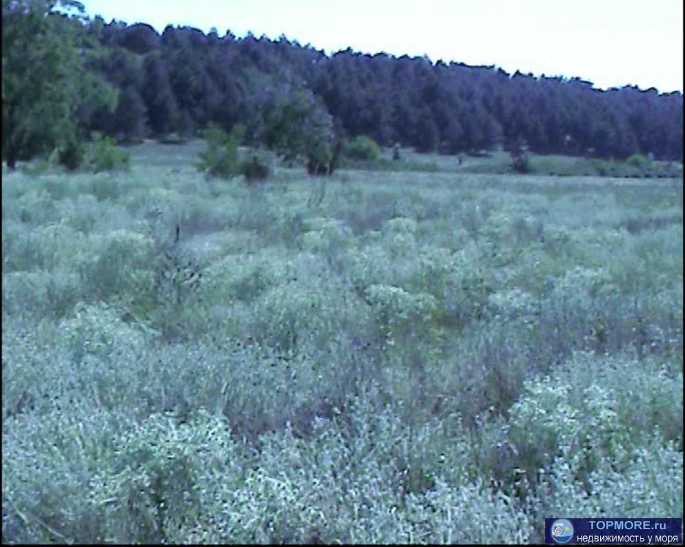 Продаю красивый видовой участок в Ленинском районе Крыма в с. Новоотрадное. Площадь участка 2 Га. Участок расположен... - 4