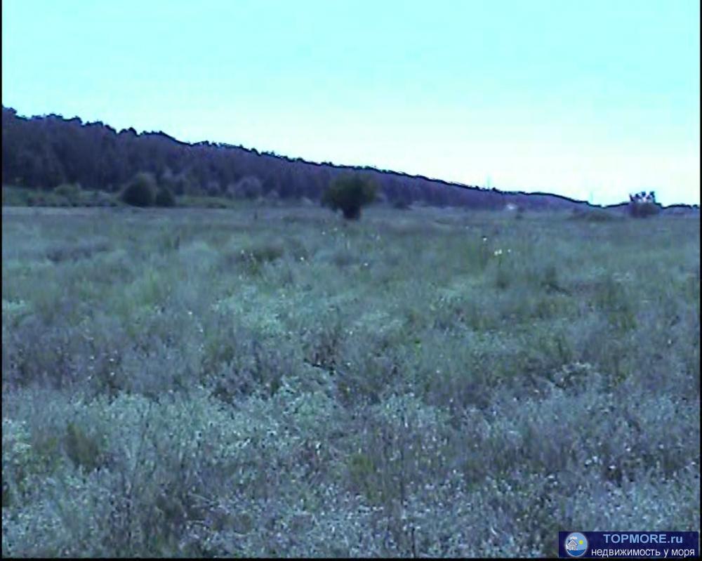 Продаю красивый видовой участок в Ленинском районе Крыма в с. Новоотрадное. Площадь участка 2 Га. Участок расположен... - 5