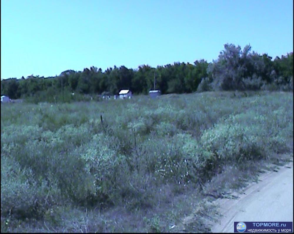 Продаю красивый видовой участок в Ленинском районе Крыма в с. Новоотрадное. Площадь участка 2 Га. Участок расположен... - 8