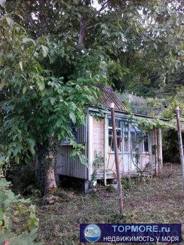 Дача на участке 4 сотки в СНТ Механизатор .