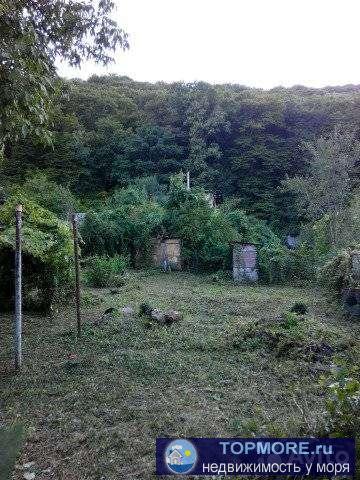 Дача на участке 4 сотки в СНТ Механизатор . - 1