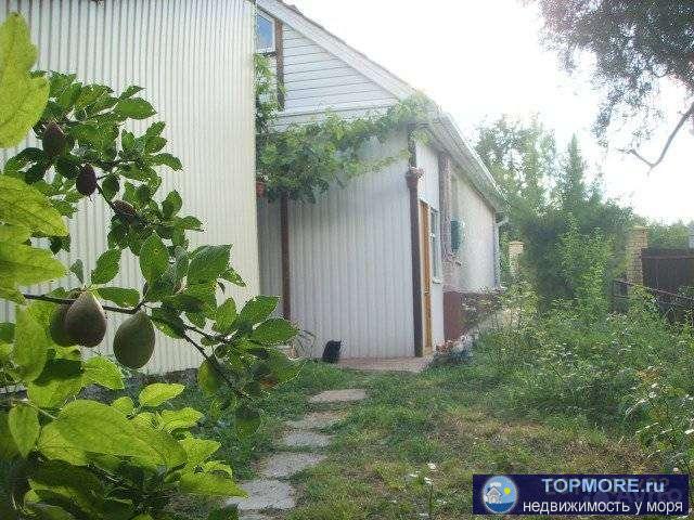 Дом, в центре с. Прасковеевка, до моря 4,5км участок угловой 20,1сотка,свет, колодец,баня с летним домиком 41м2 ,... - 2