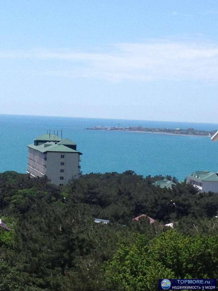 Сдам однокомнатную квартиру с панорамным видом на море. В квартире имеется вся необходимая бытовая техника, WI-FI,...