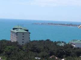 Сдам однокомнатную квартиру с панорамным видом на море. В квартире...