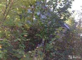 Дом на высоком фундаменте(цокольный этаж), чердак. Окна пластиковые...