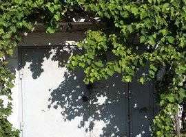 Прoдам гаpаж 2 уровня(подвал), общая плoщадь 24,8м.кв., плoщадь c...