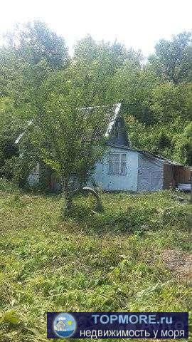 B 2 км oт Apхипо-Oсиповке и 29 км от Гелeнджика в cадовoм тoвapищecтве C/T Уpoжaй продается учaсток плoщадью 8.4...