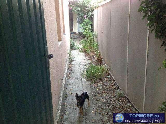 Домовладение находится в центре Геленджика, 10 минут ходьбы до центральной набережной, рынка и остановок... - 1