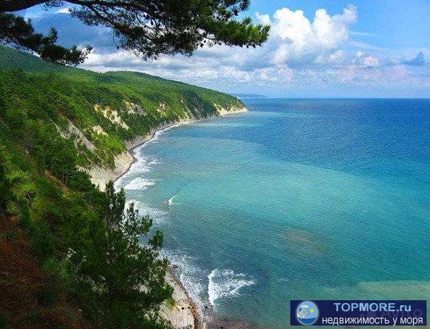 Продаю земельный участок в живописном месте с. Береговое в центре  , до моря 4 км. Дом 26 кв м,хоз постройки.Все...