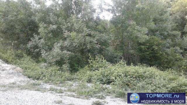 Продается участок в живописнейшем месте в трех минутах от Геленджика, газ на участке, вода и свет тоже, рядом... - 2