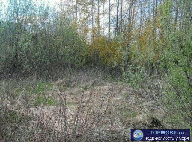 Продаю участок. Свежий воздух. Природа. Участком не занимались, коммуникации (свет) . Но можно восстановить. - 1