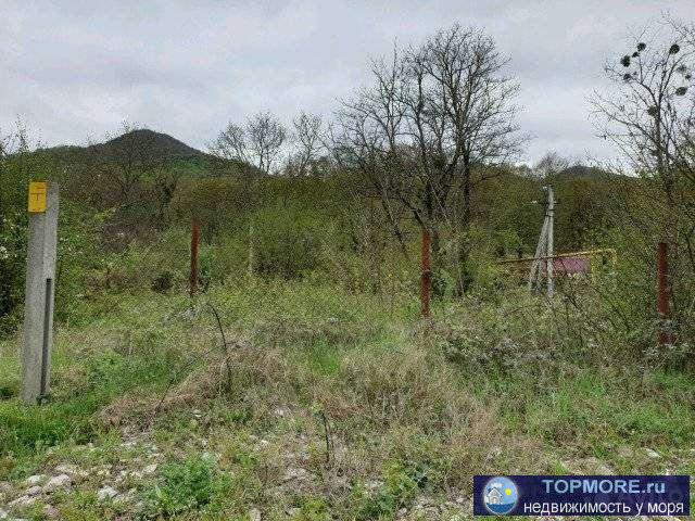 Продаю земельный участок. На участке проведен свет. Имеется дикая поросль и ветхое небольшое строение. Фасад, Торг...