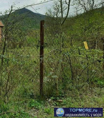 Продаю земельный участок. На участке проведен свет. Имеется дикая поросль и ветхое небольшое строение. Фасад, Торг... - 1