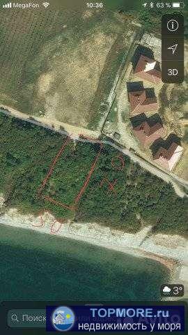 Продаю участок на берегу Чёрного моря! 34 сотки 50/70 м, Краснодарский Край, Геленджикское Лесничество... - 2