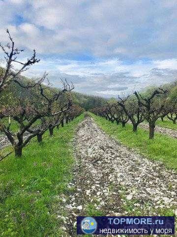 Продам участок сельхоз, 2га , документы на руках.  Торг уместен.Продаёт собственник. Все вопросы по телефону. - 1