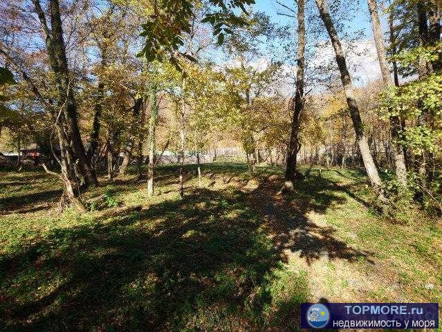 Пустой участок у реки Адерба , в с. Адербиевка.