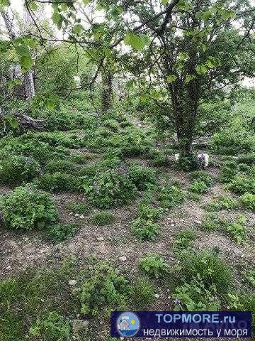 Продаётся земельный участок 4 соток по ул Советской в с Адербиевка. Все коммуникации подведены свет, газ. Недалёко... - 2