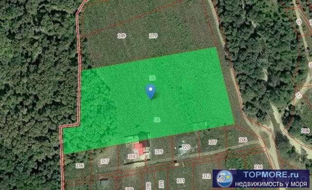 12 800 кв. м земли сельскохозяйственного назначения. Рядом не пересыхающая летом река Адерба. Красивый лес.  Для...