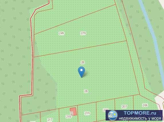 12 800 кв. м земли сельскохозяйственного назначения. Рядом не пересыхающая летом река Адерба. Красивый лес.  Для... - 1