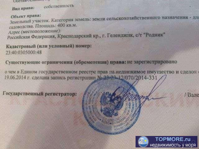 Продаю участок 440 кв.м. СНТ '' Родник''. Участок 24 - 1