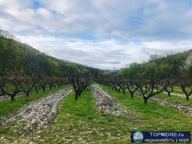 Продам участок сельхоз, 2га , документы на руках.  Торг уместен.Продаёт собственник. Все вопросы по телефону. - 1