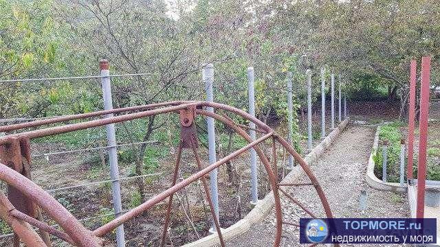 Продам земельный участок 12 соток в селе Возрождение, на данном участке находится колодец с питьевой водой,... - 1