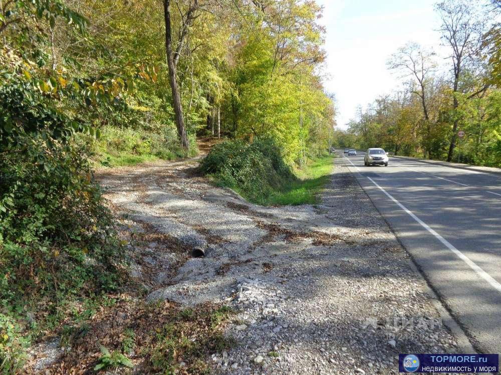 Продаю участок в с.Возрождение, 50 метров от трассы, индивидуальный проезд, прямоугольной формы, собственность. - 2