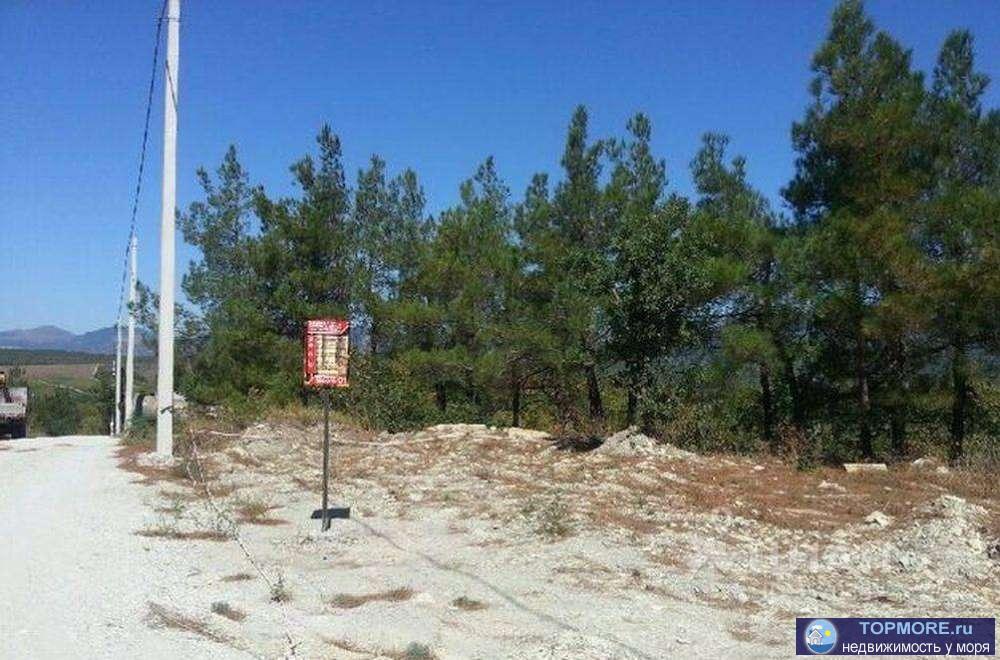 Продаю земельный участок лесфонд , участок угловой, прямоугольной формы, есть свет и вода, есть проект освоения леса,... - 1