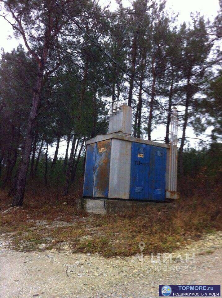 Продаю земельный участок лесфонд , участок угловой, прямоугольной формы, есть свет и вода, есть проект освоения леса,... - 2