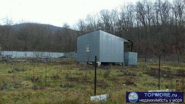 Продаю садовый участок . На участке имеется : плодовые деревья (яблоня,вишня, груша,черешня,слива,алыча,фундук,... - 2