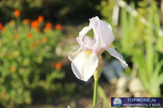 Продам земельный участок 12 соток под строительство дома(либо половину)Участок чистый,угловой,готов к...