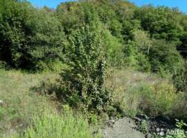 Земельный участок общей площадью: 899 кв.м., с кадастровым номером:...