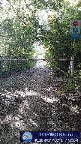 Продам земельный участок г.Геленджик село Адербиевка с/т Родничёк 2. До воды 15 метров бурить,вода питьевая. Свет 800... - 2