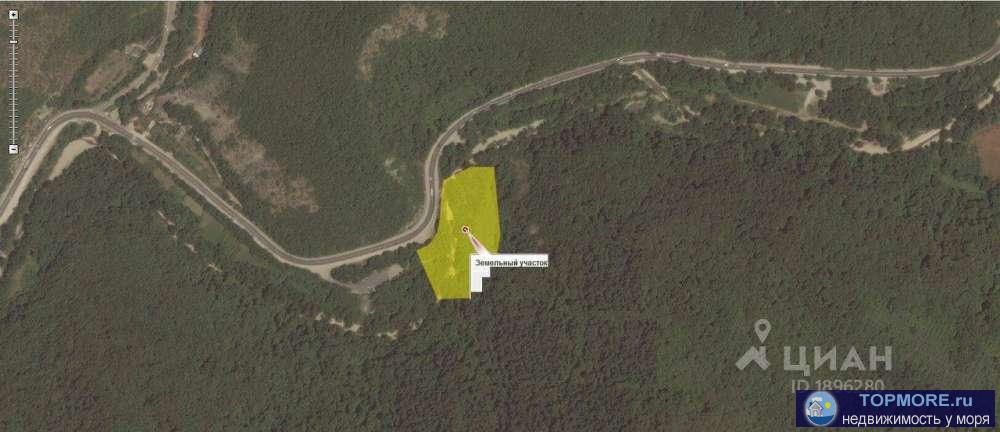 Продается земельный участок 1,5 ГА (переуступка прав аренды). Земли лесного фонда, назначение-для рекреационной...