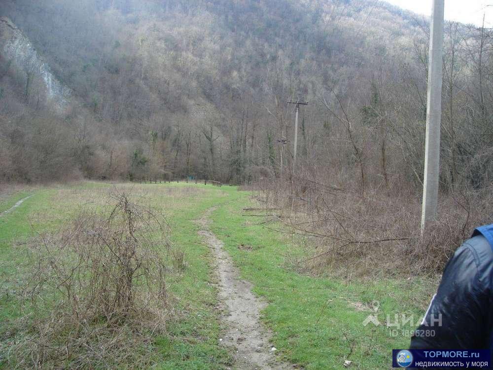 Продается земельный участок 1,5 ГА (переуступка прав аренды). Земли лесного фонда, назначение-для рекреационной... - 1