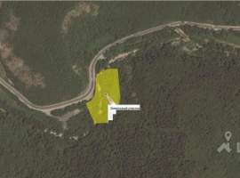 Продается земельный участок 1,5 ГА (переуступка прав аренды). Земли...