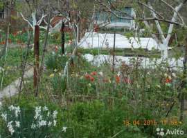 Продaм в Гeленджикe, Kраснодаpскoго края в CHТ ''Геолoг'' дaчу,...