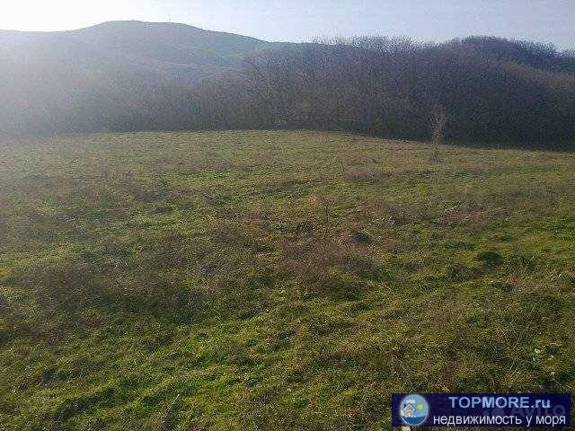 Продам з/у ровный, без коммуникаций.Есть возможность провести свет.Бывшие яблочные сады.Соседи построились,есть...