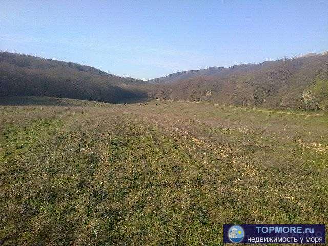 Продам з/у ровный, без коммуникаций.Есть возможность провести свет.Бывшие яблочные сады.Соседи построились,есть... - 1