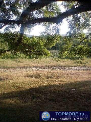 срочно.  участок возле речки .место для развития бизнеса.бани.беседки. - 1