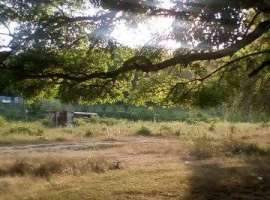 срочно.  участок возле речки .место для развития бизнеса.бани.беседки.